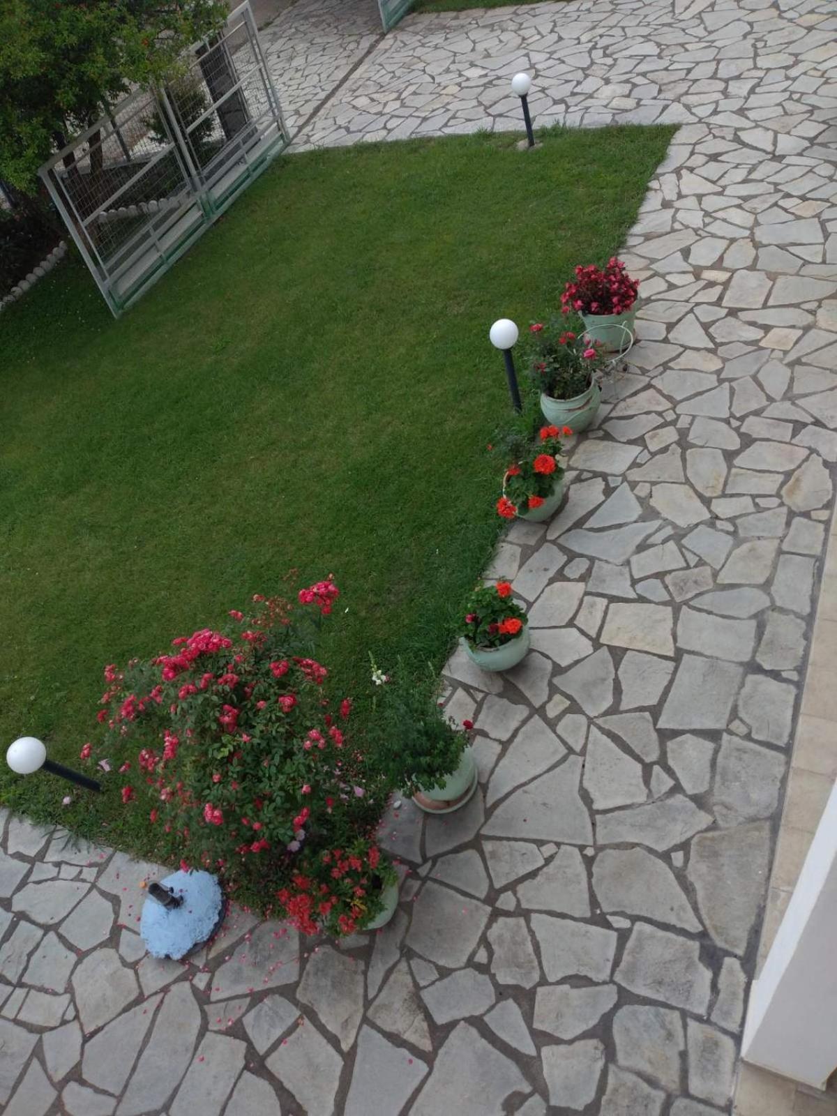 Villa Jenny เลปโตการายา ภายนอก รูปภาพ